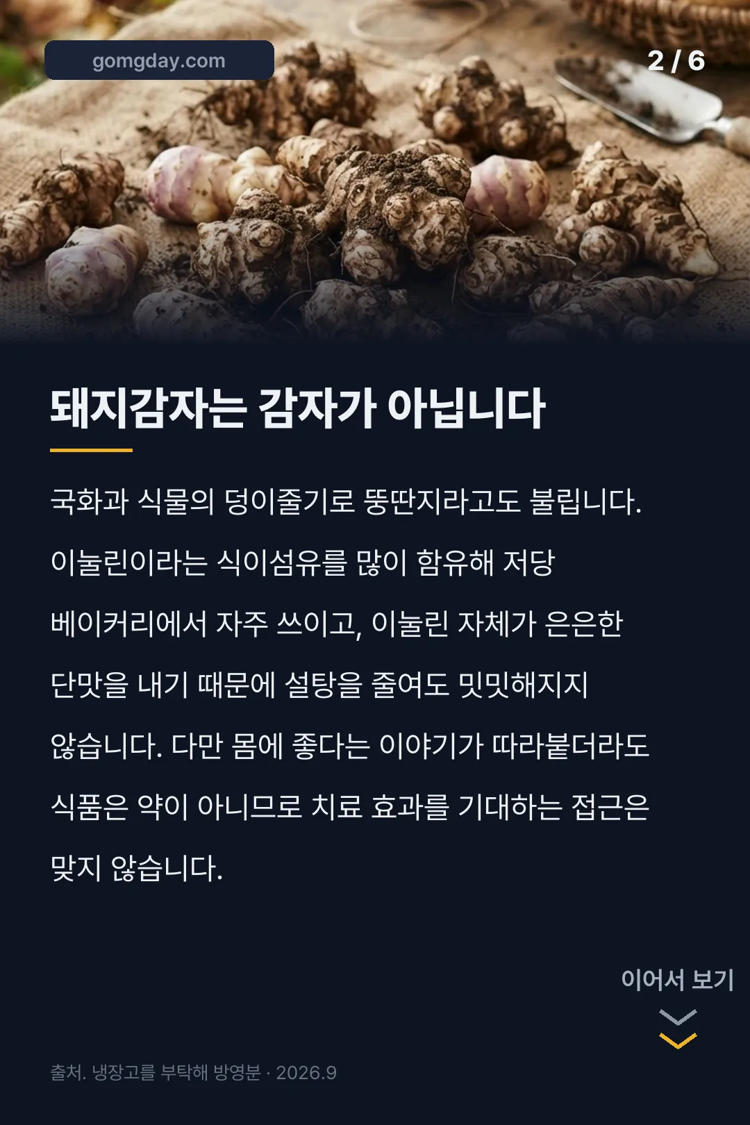 손예진 돼지감자 깜빠뉴 카드뉴스 2