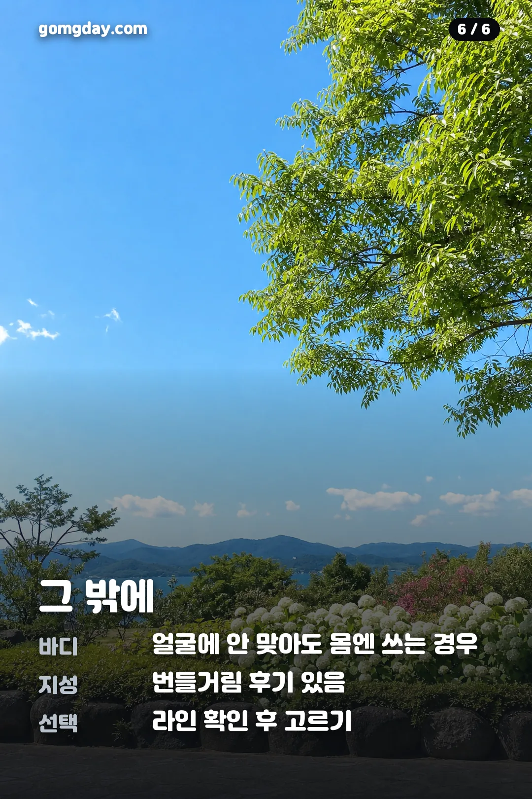 조선미녀 선크림 라인 비교 카드 6