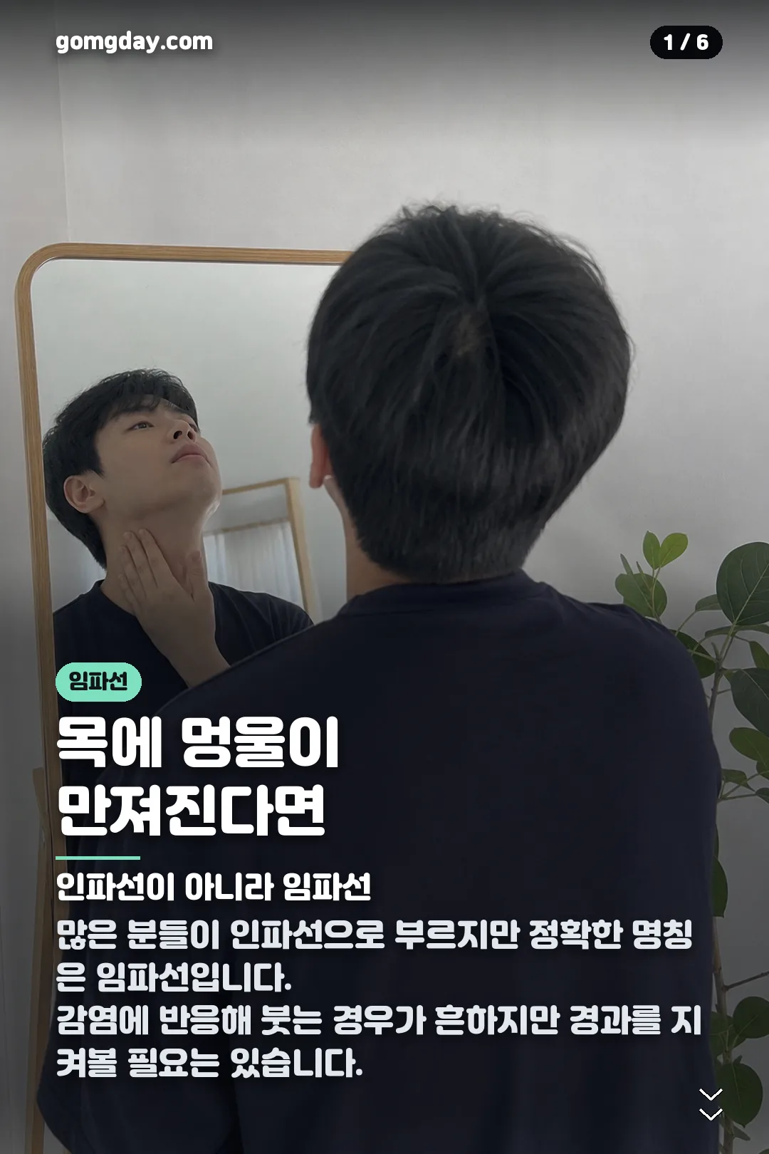 인파선 부움 카드뉴스 1