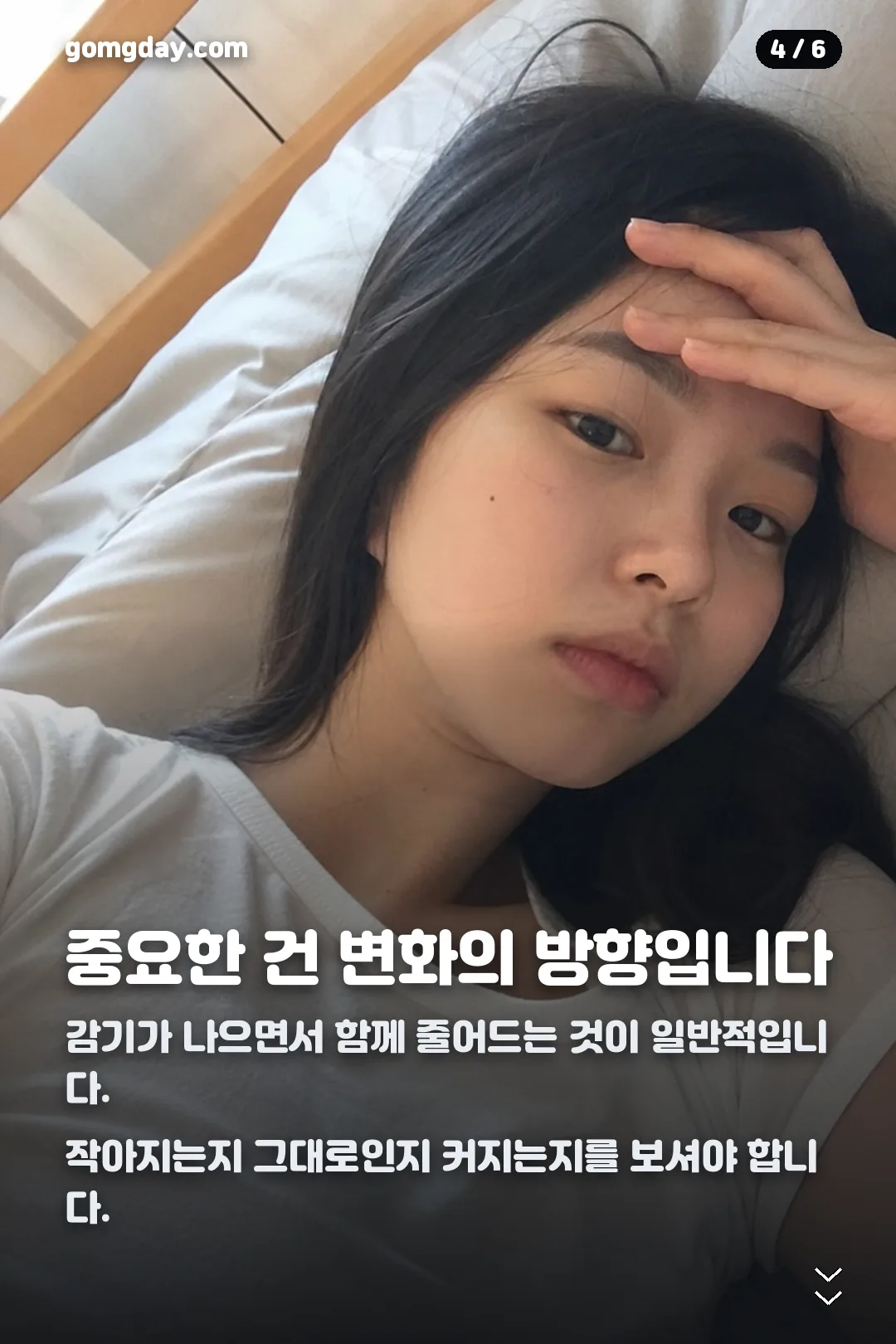 인파선 부움 카드뉴스 4
