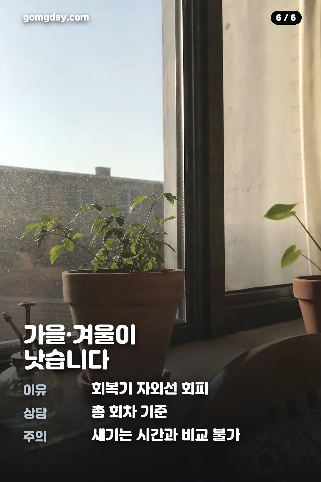 나나 전신타투 제거 근황 카드뉴스 6