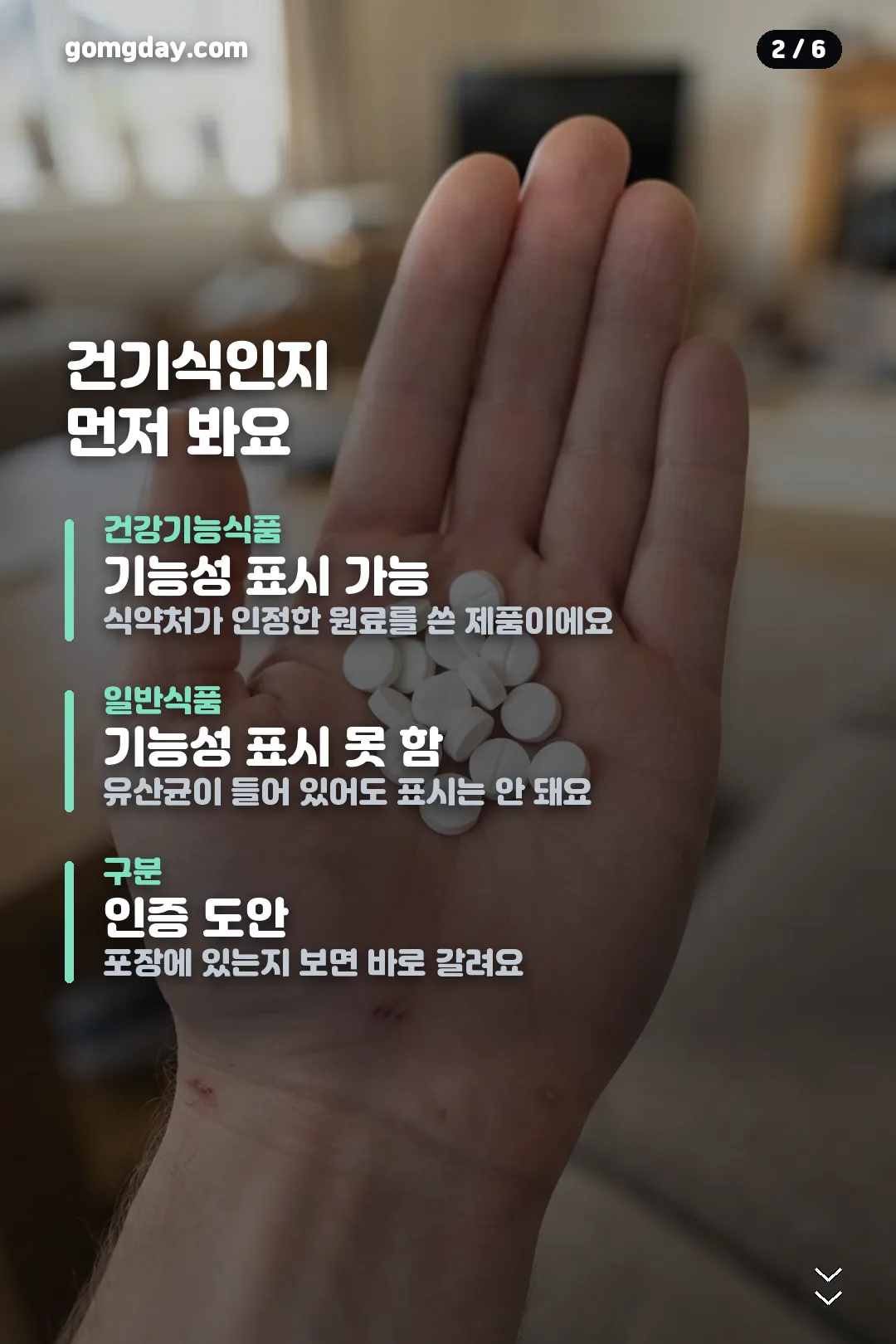 노르다인 구강유산균 카드뉴스 2