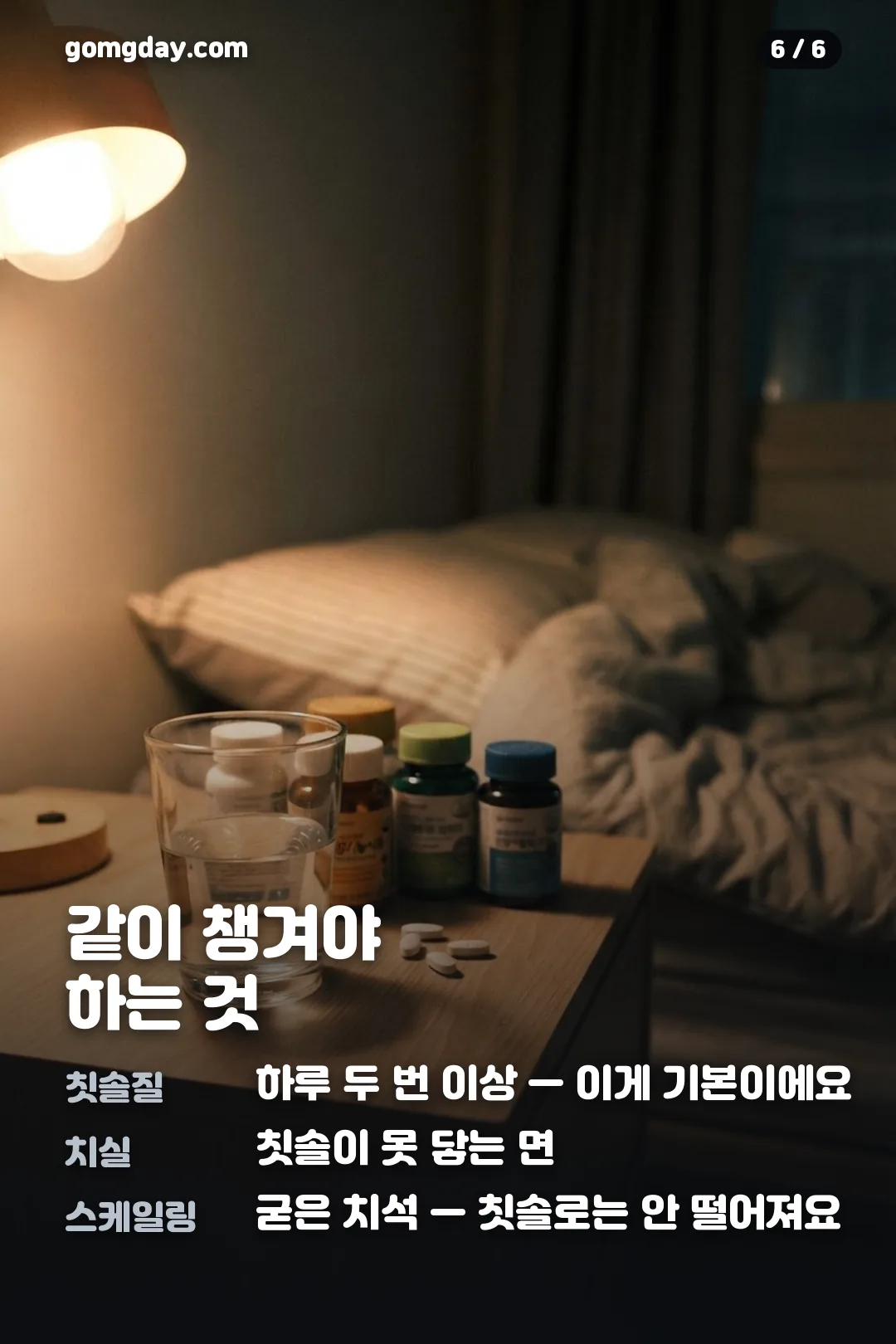 노르다인 구강유산균 카드뉴스 6