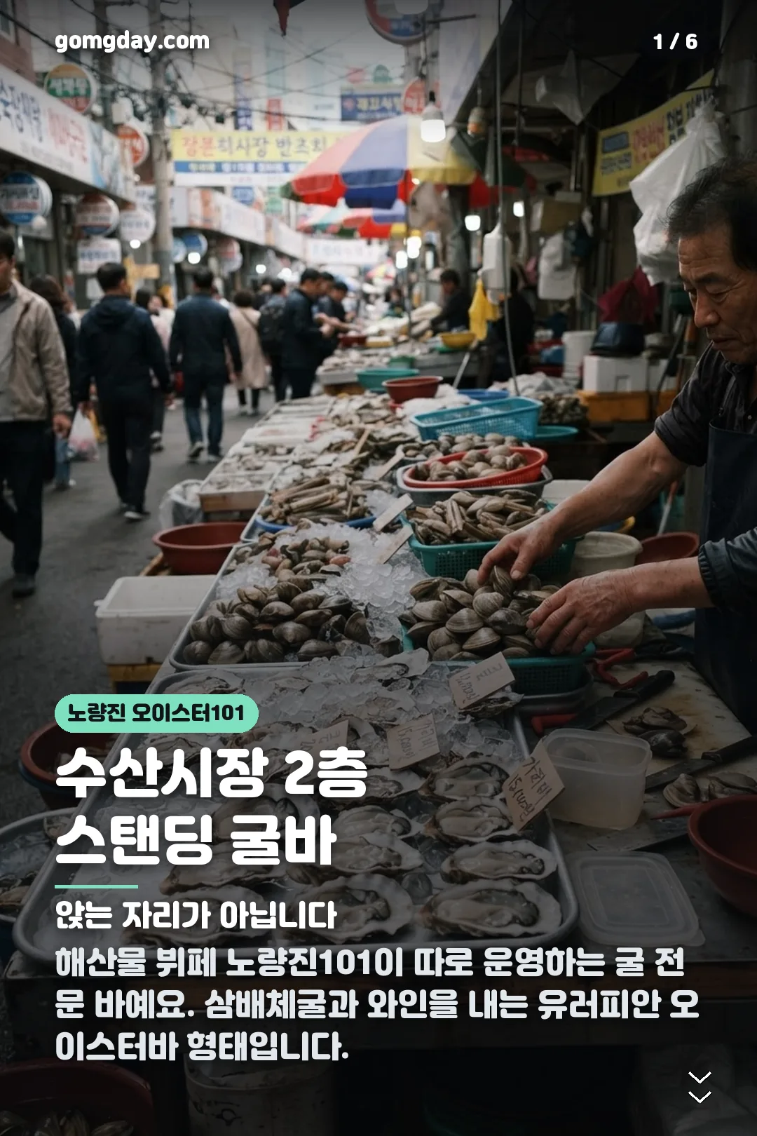 노량진 오이스터 101 카드뉴스 1