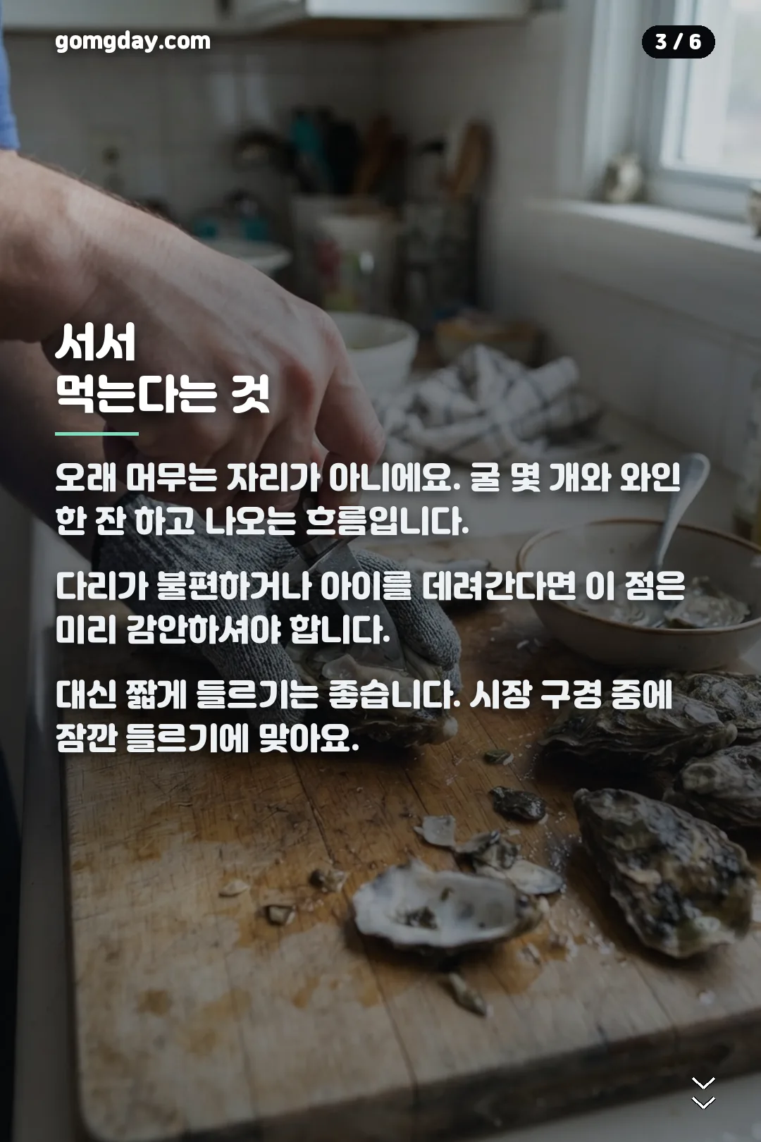 노량진 오이스터 101 카드뉴스 3
