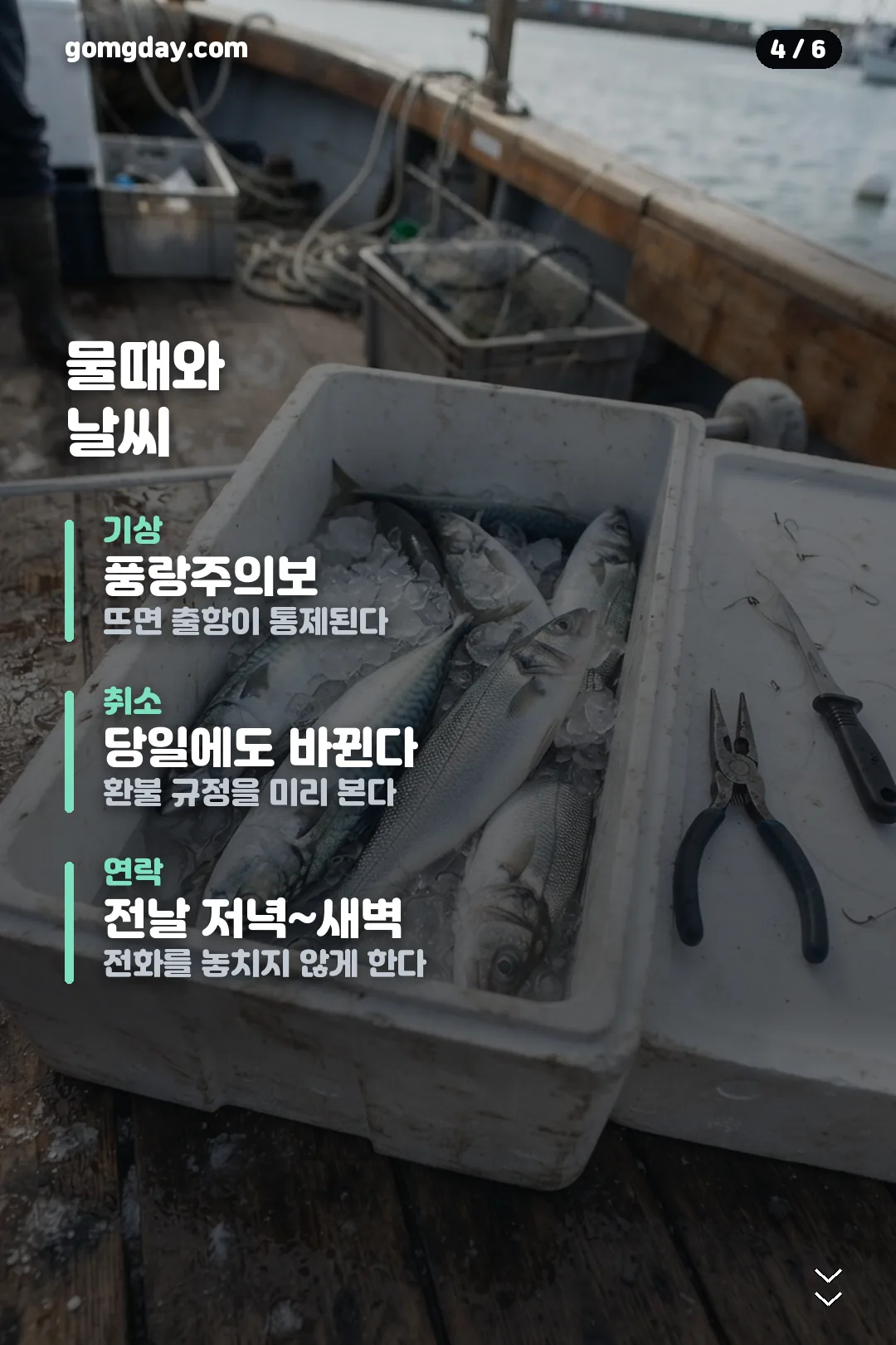오이도 지선장호 카드뉴스 4