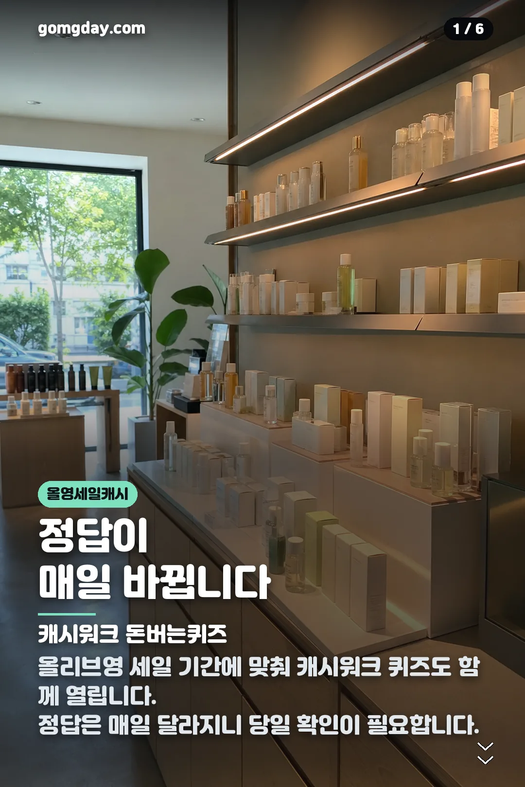 올영세일캐시 카드뉴스 1