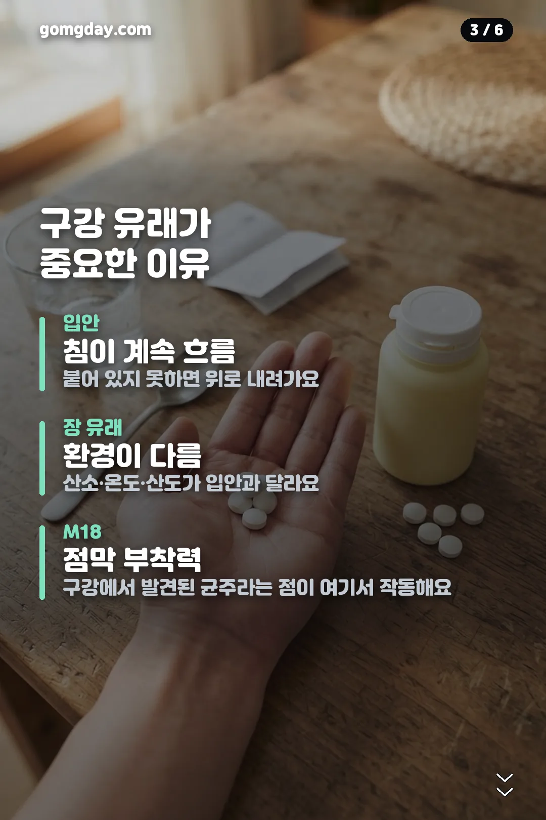 구강유산균 M18 카드뉴스 3