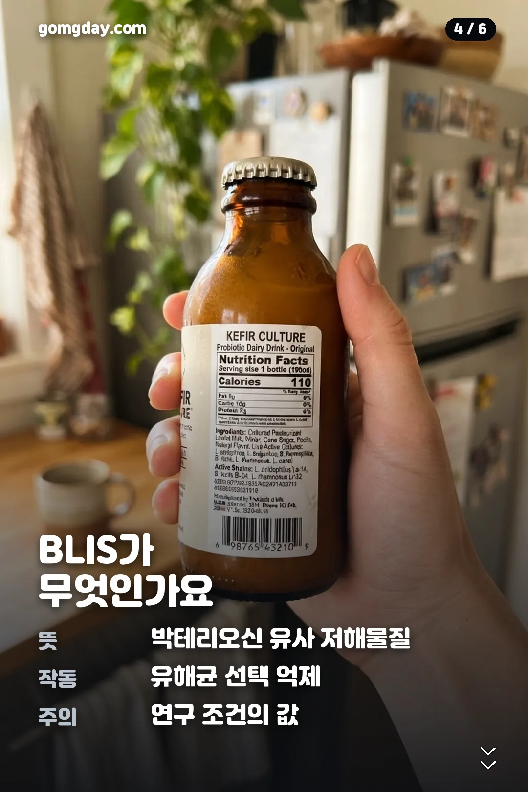 구강유산균 M18 카드뉴스 4