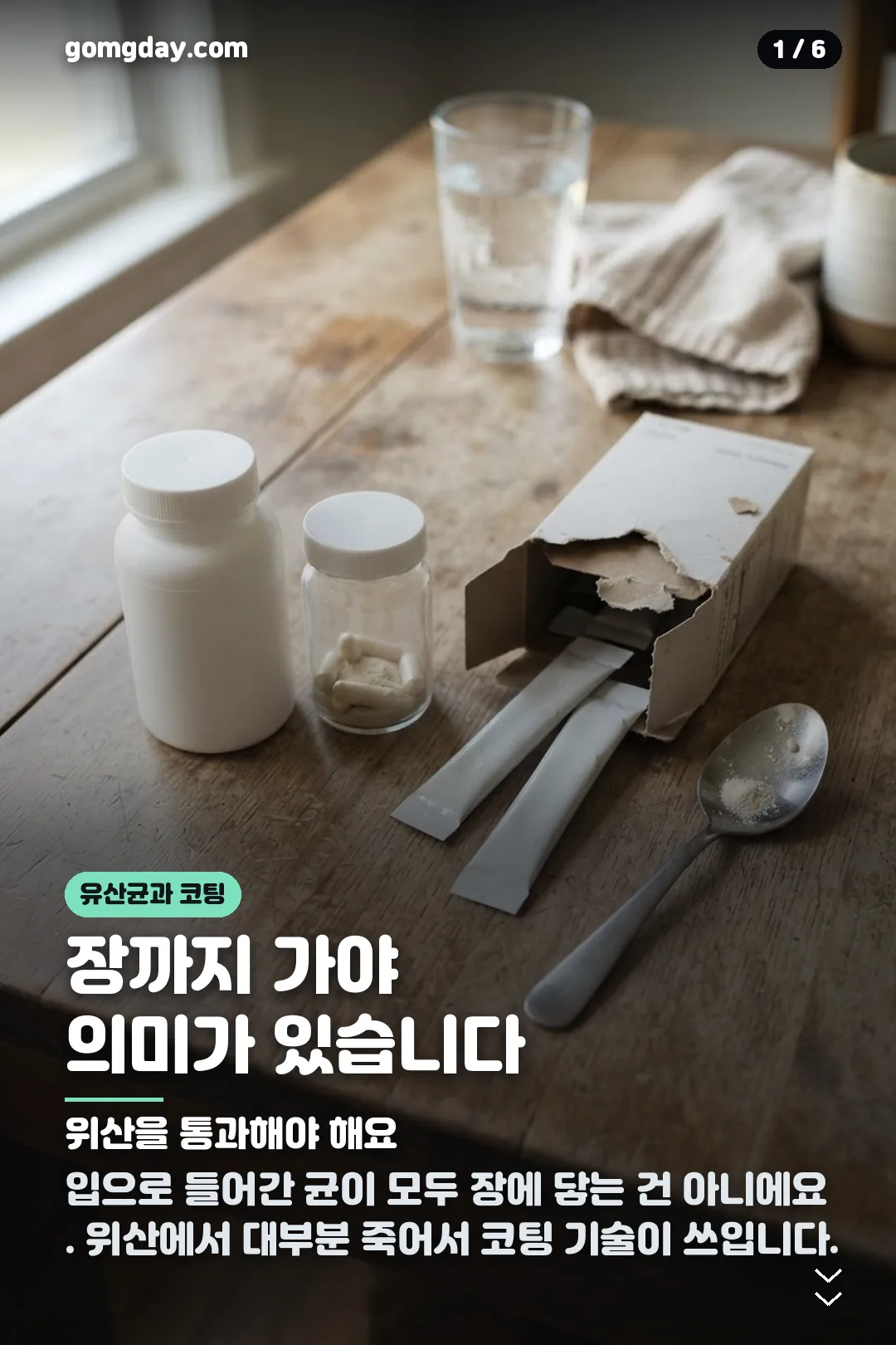리포락틴 유산균 카드뉴스 1