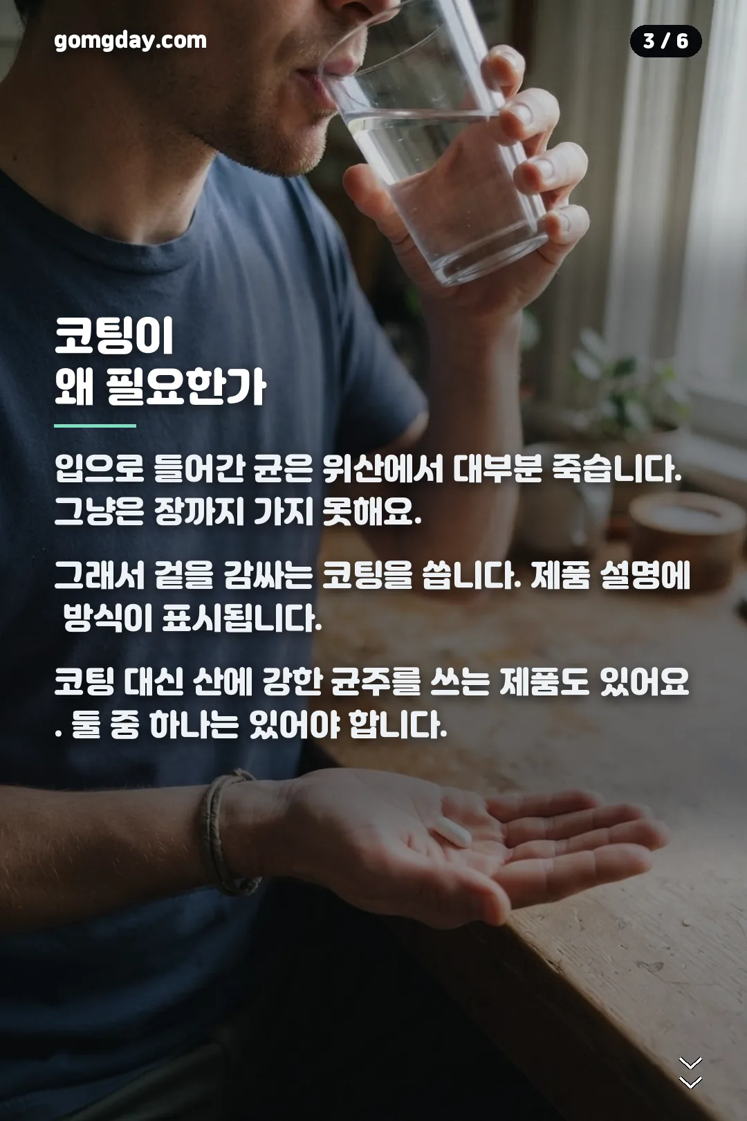 리포락틴 유산균 카드뉴스 3