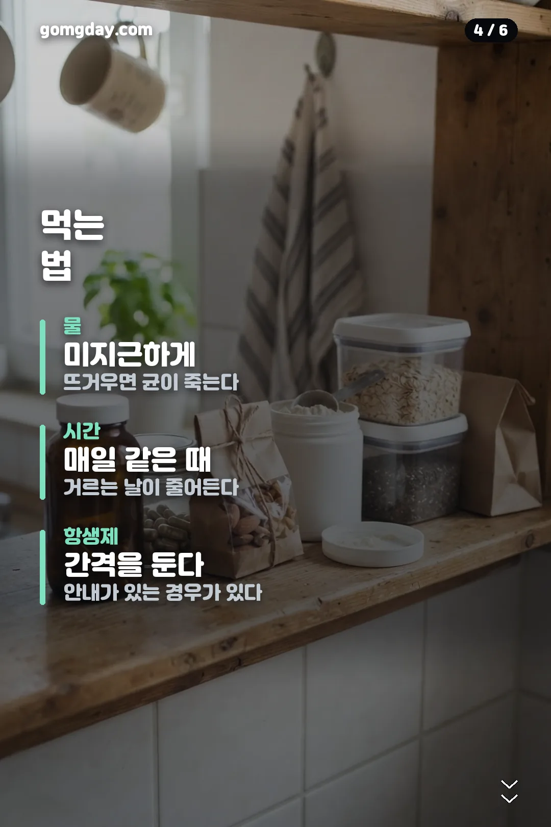 리포락틴 유산균 카드뉴스 4