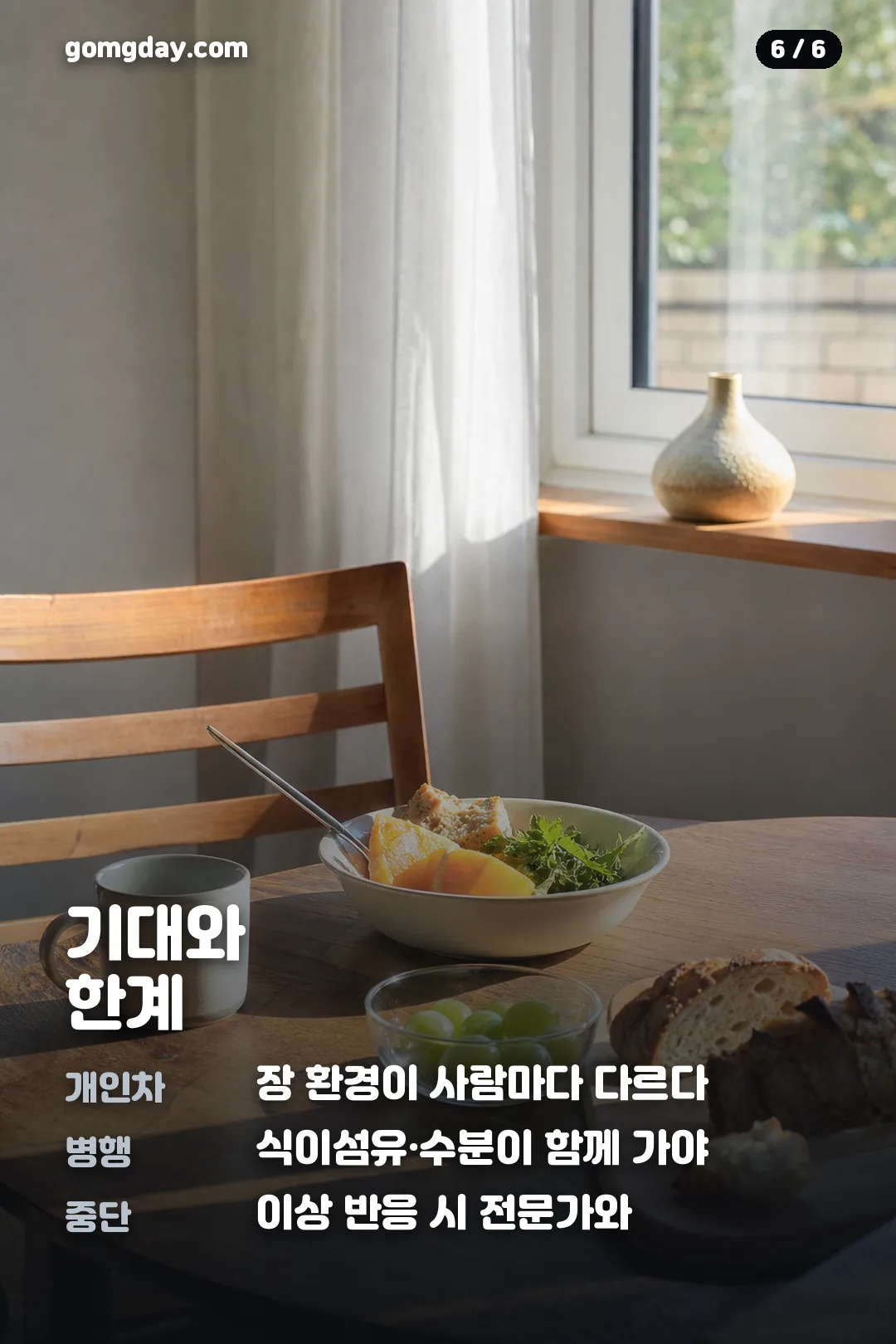 리포락틴 유산균 카드뉴스 6