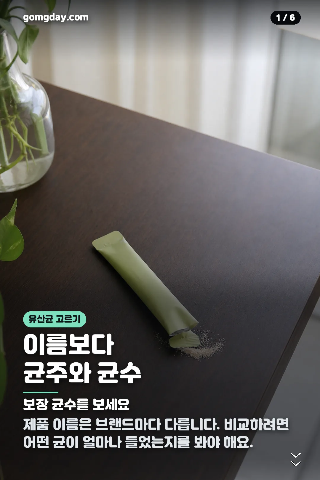 비피젠 유산균 카드뉴스 1