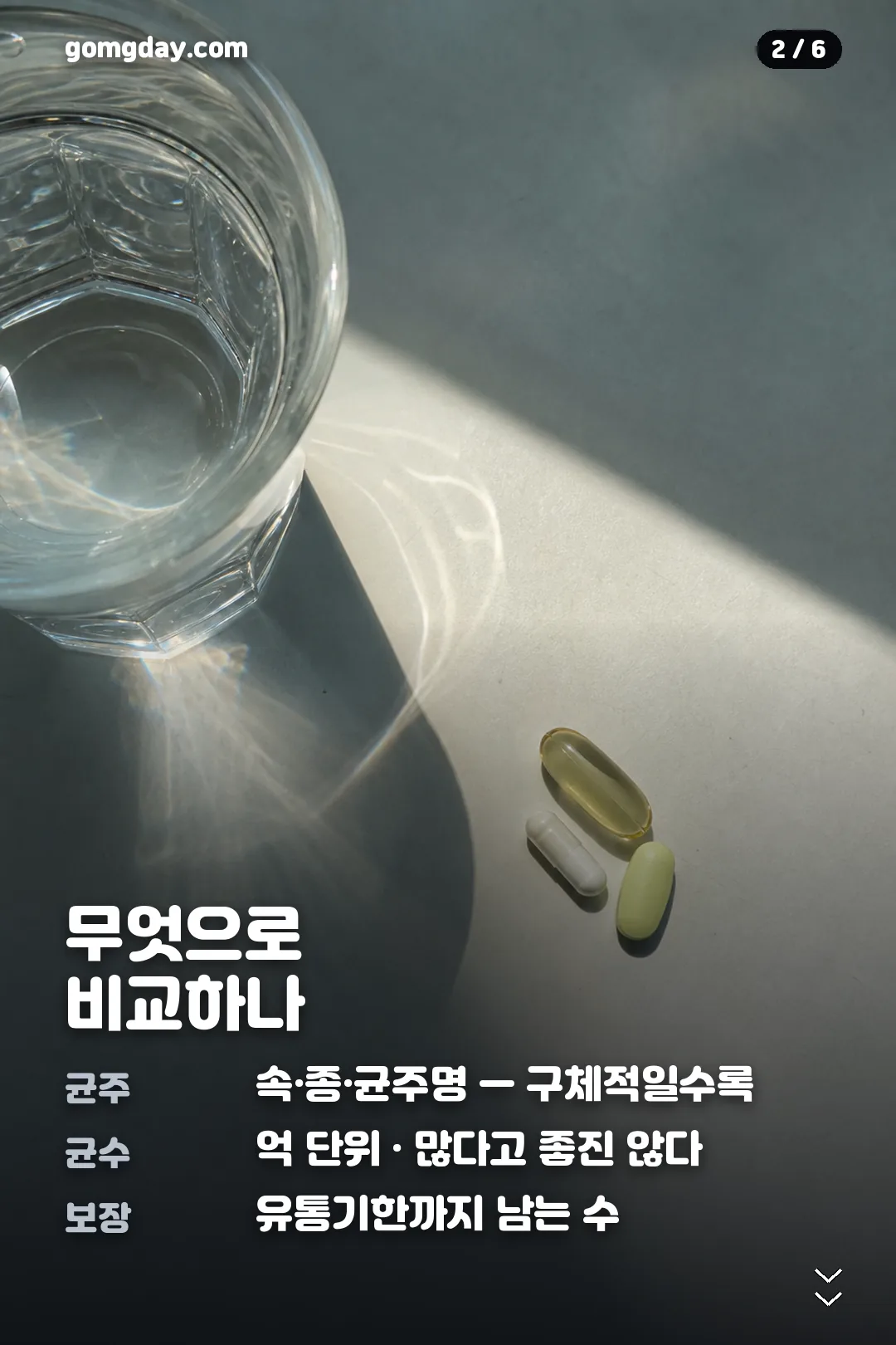 비피젠 유산균 카드뉴스 2