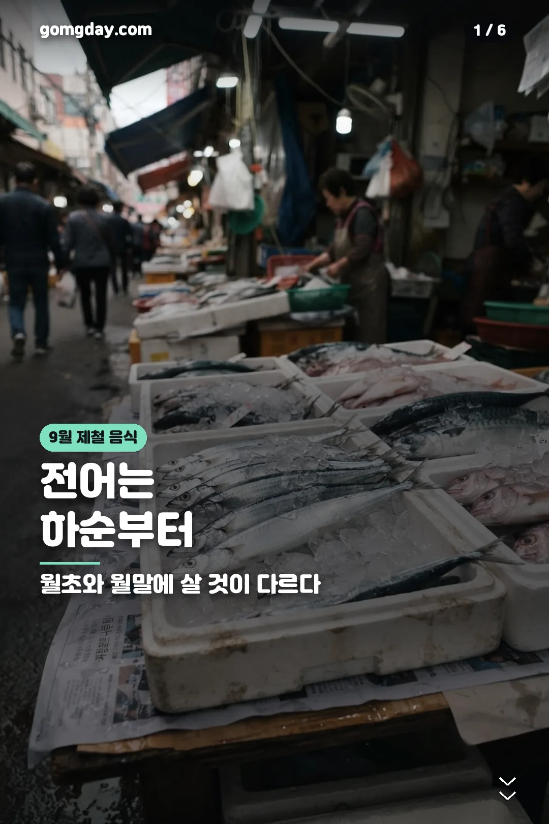 9월 제철 음식 정리 카드 1