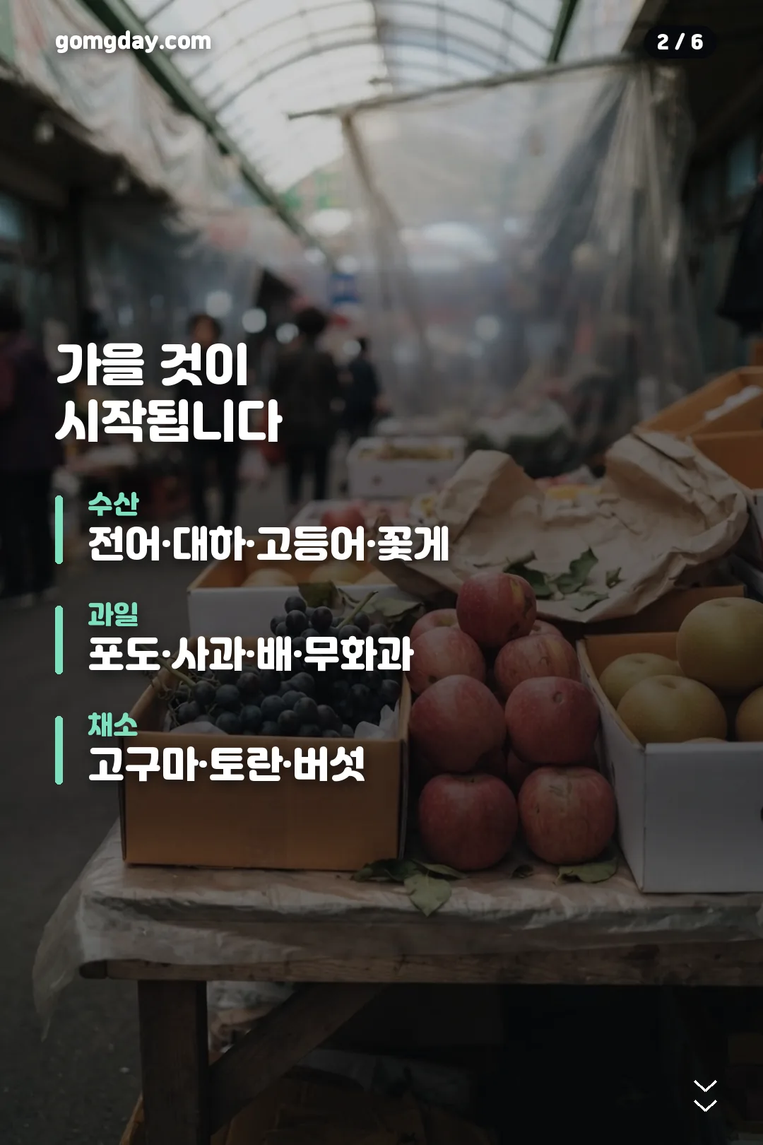 9월 제철 음식 정리 카드 2