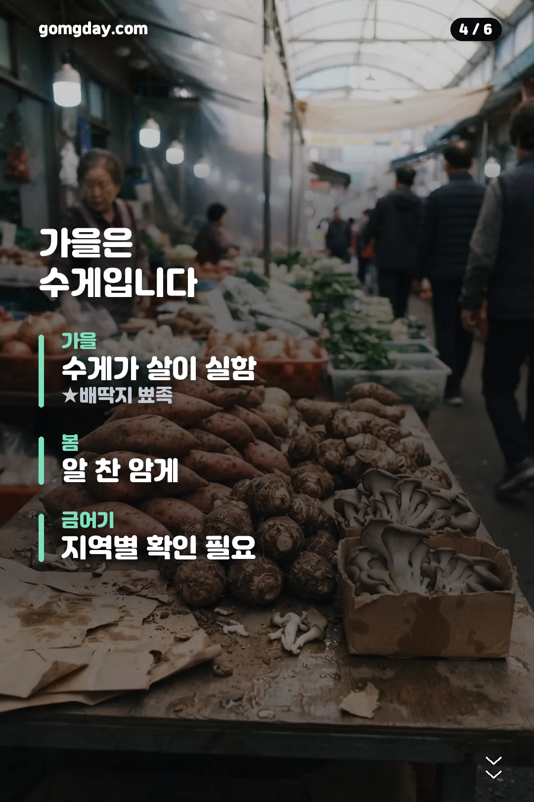 9월 제철 음식 정리 카드 4