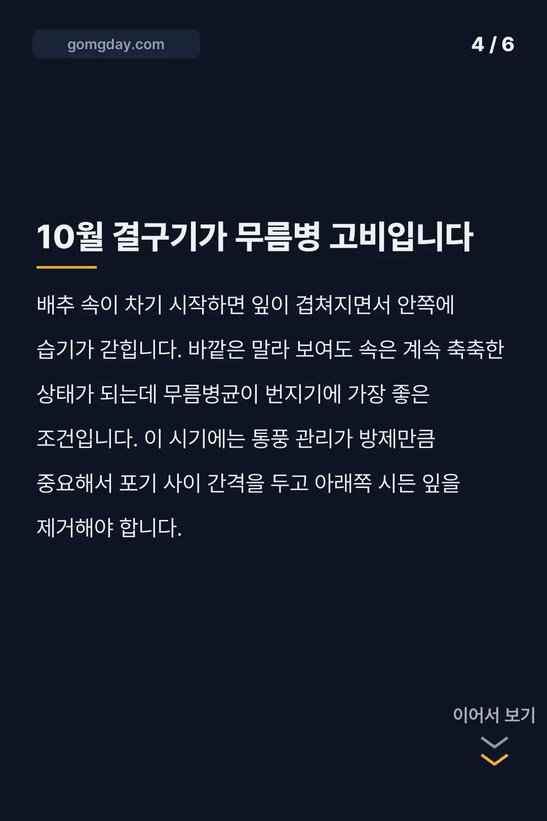 규산황 배추 사용법 카드뉴스 4