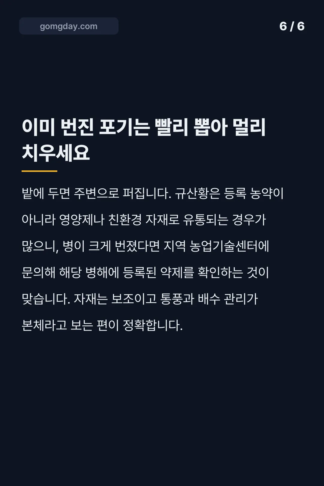 규산황 배추 사용법 카드뉴스 6