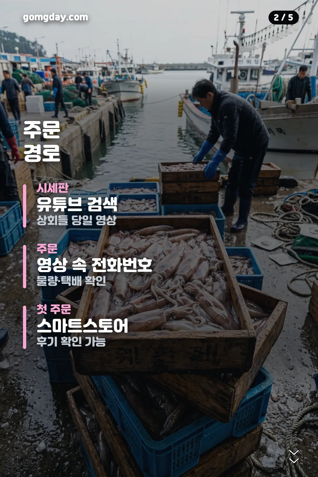 신진항 오징어 택배 주문 카드 2