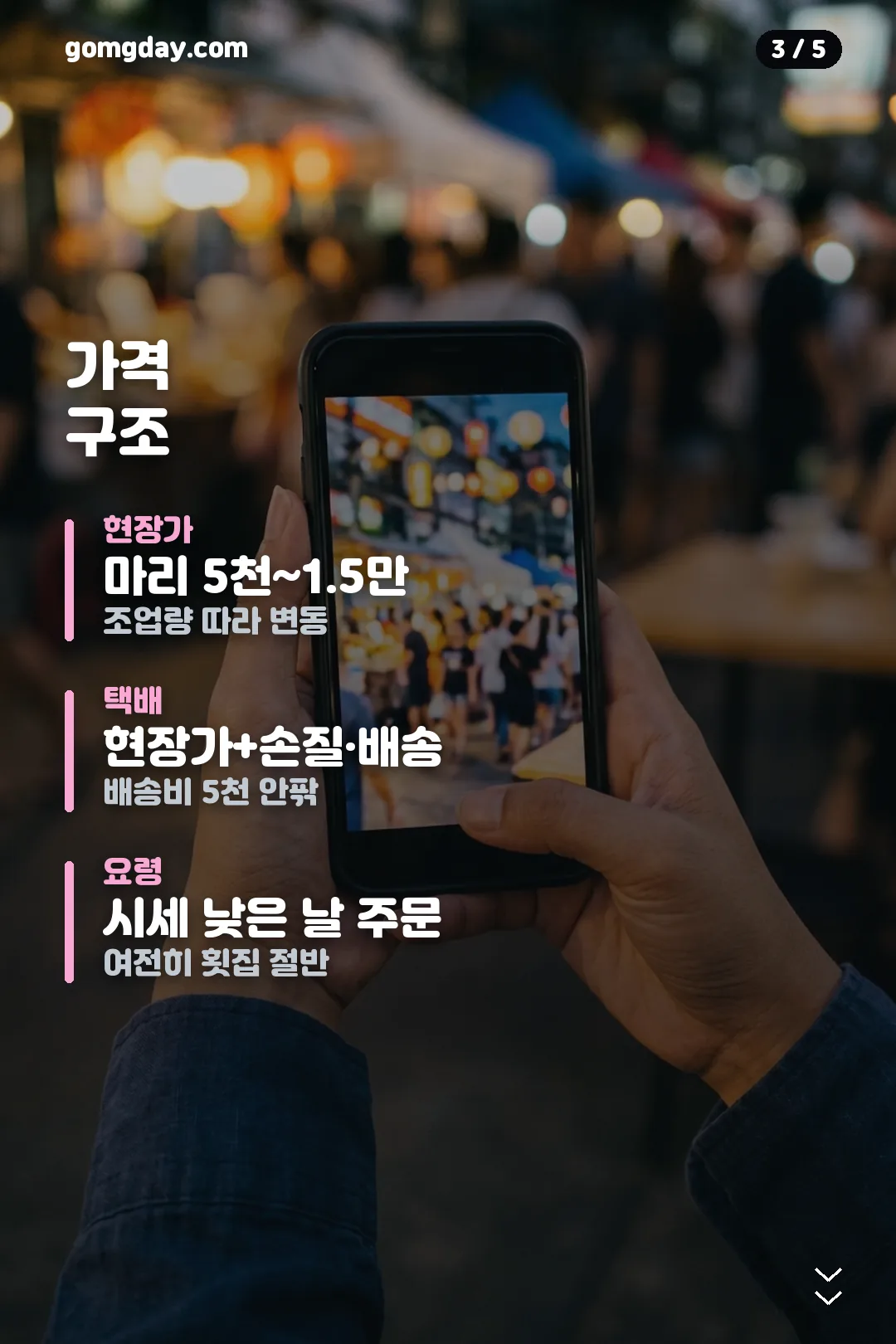 신진항 오징어 택배 주문 카드 3