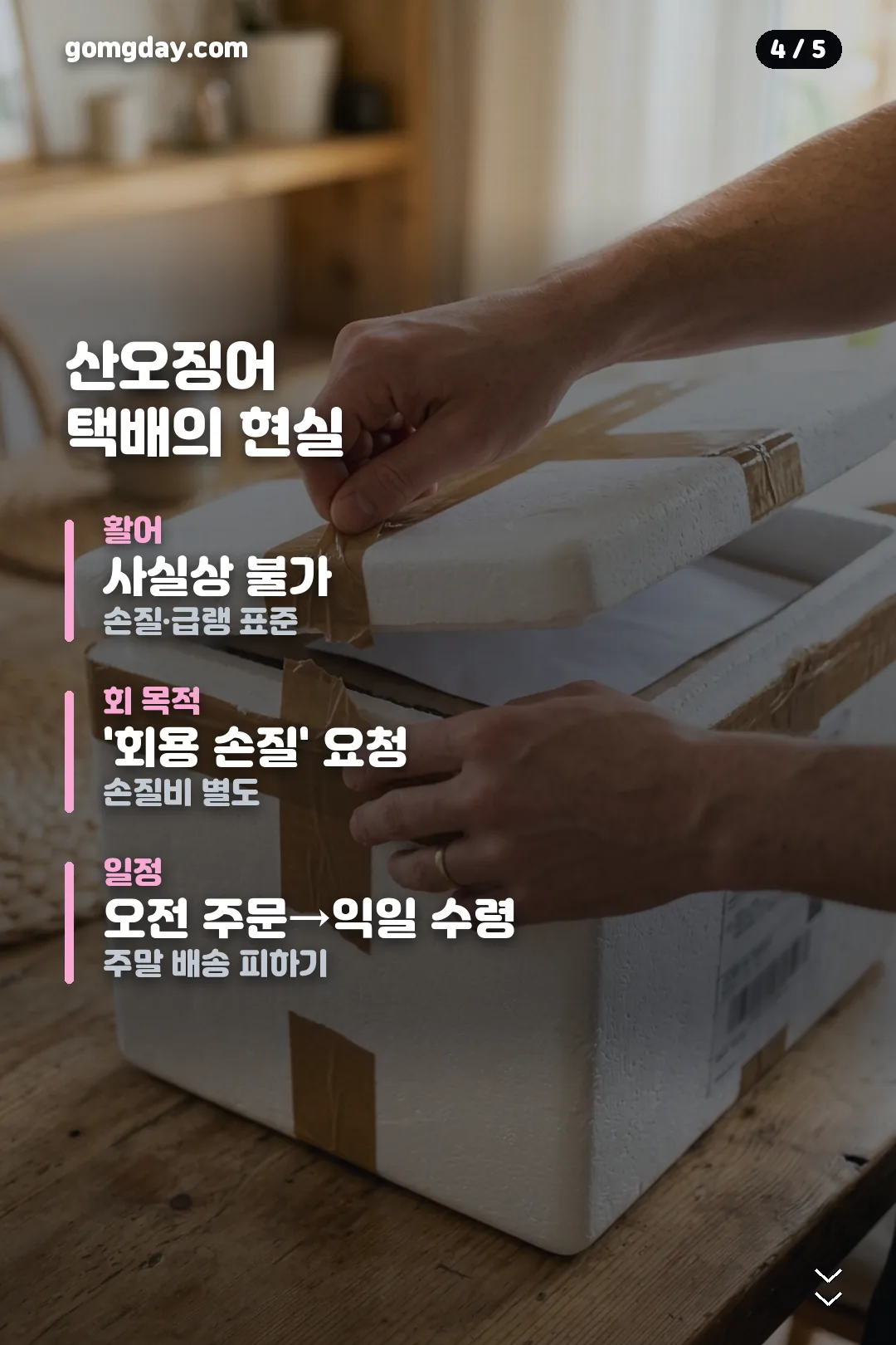 신진항 오징어 택배 주문 카드 4