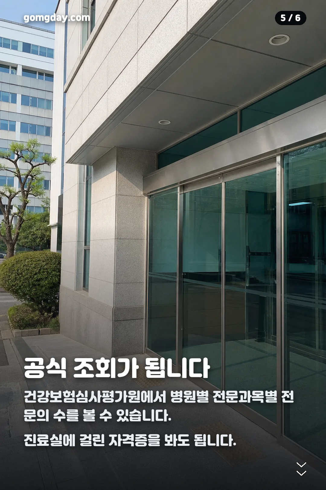 전문의 일반의 차이 카드뉴스 5
