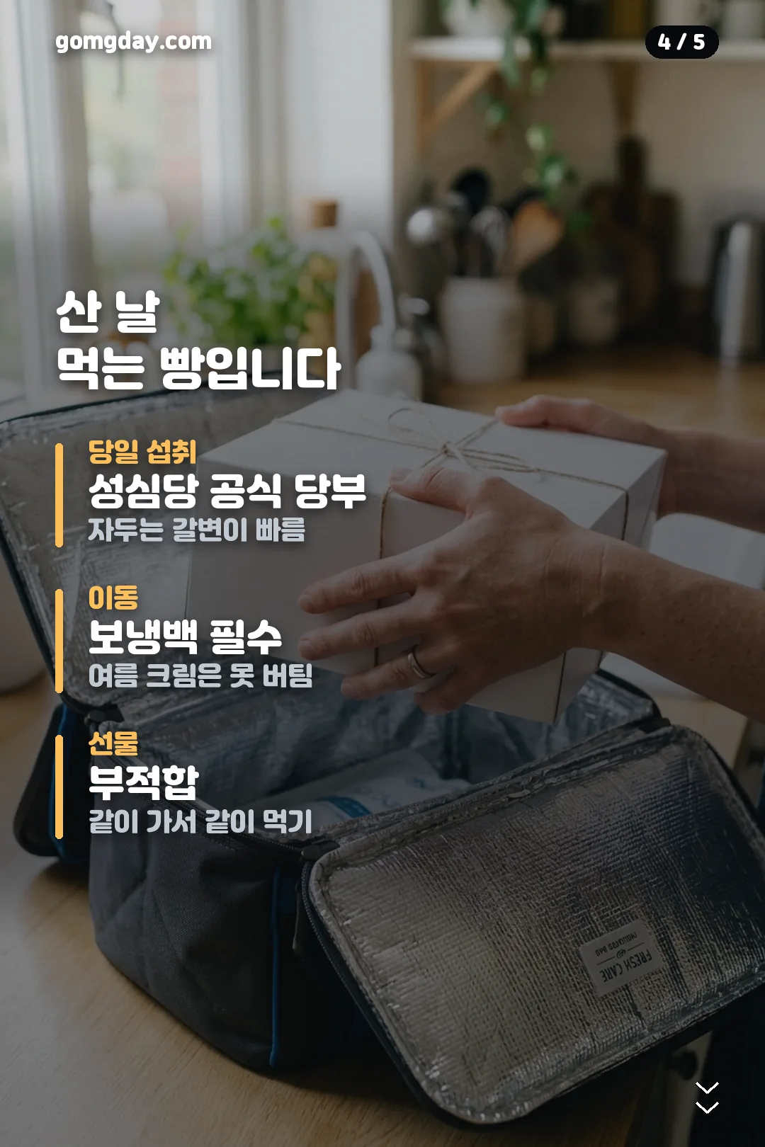 성심당 자두롤 안내 카드 4