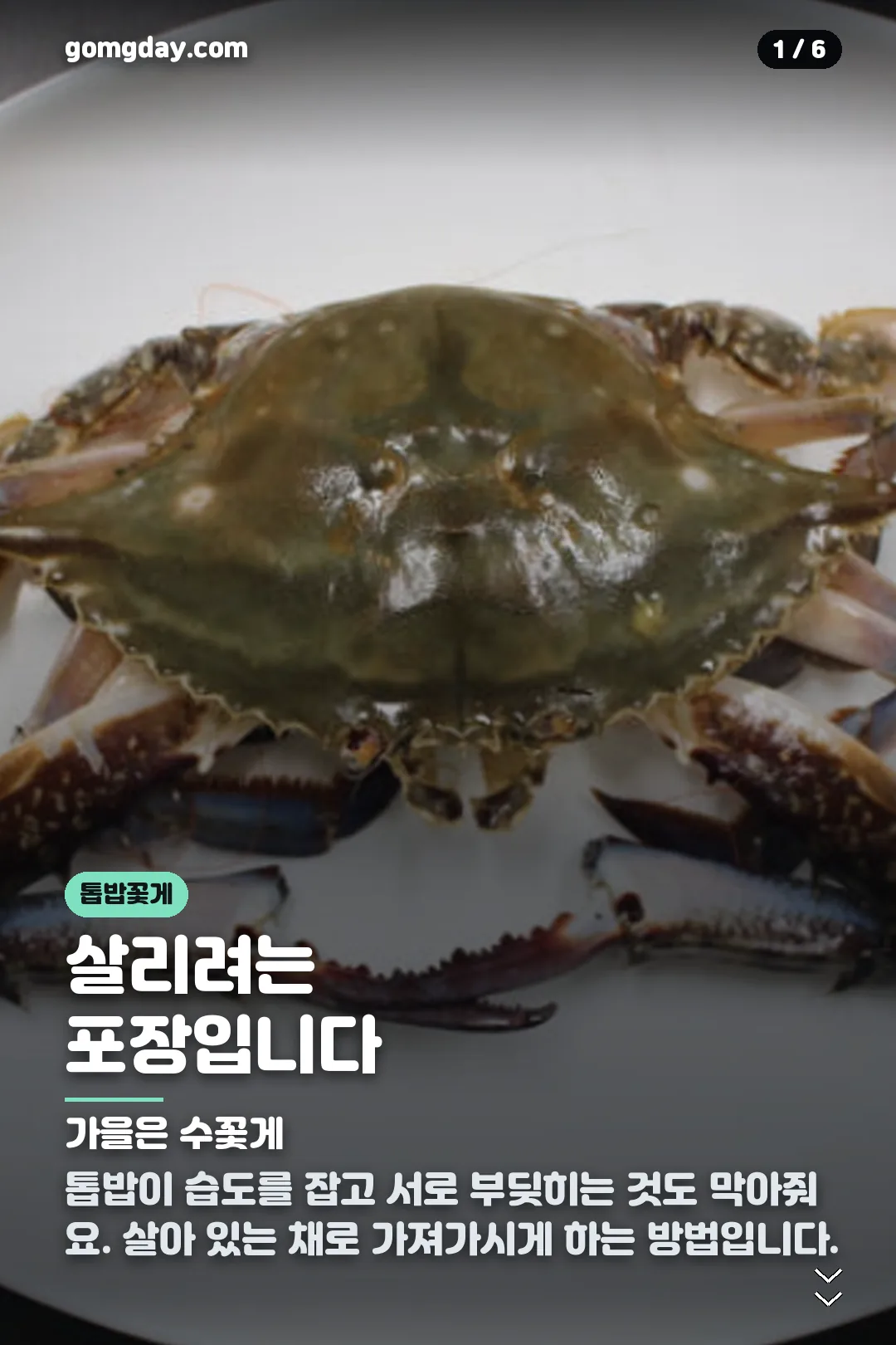 트레이더스 톱밥꽃게 카드뉴스 1