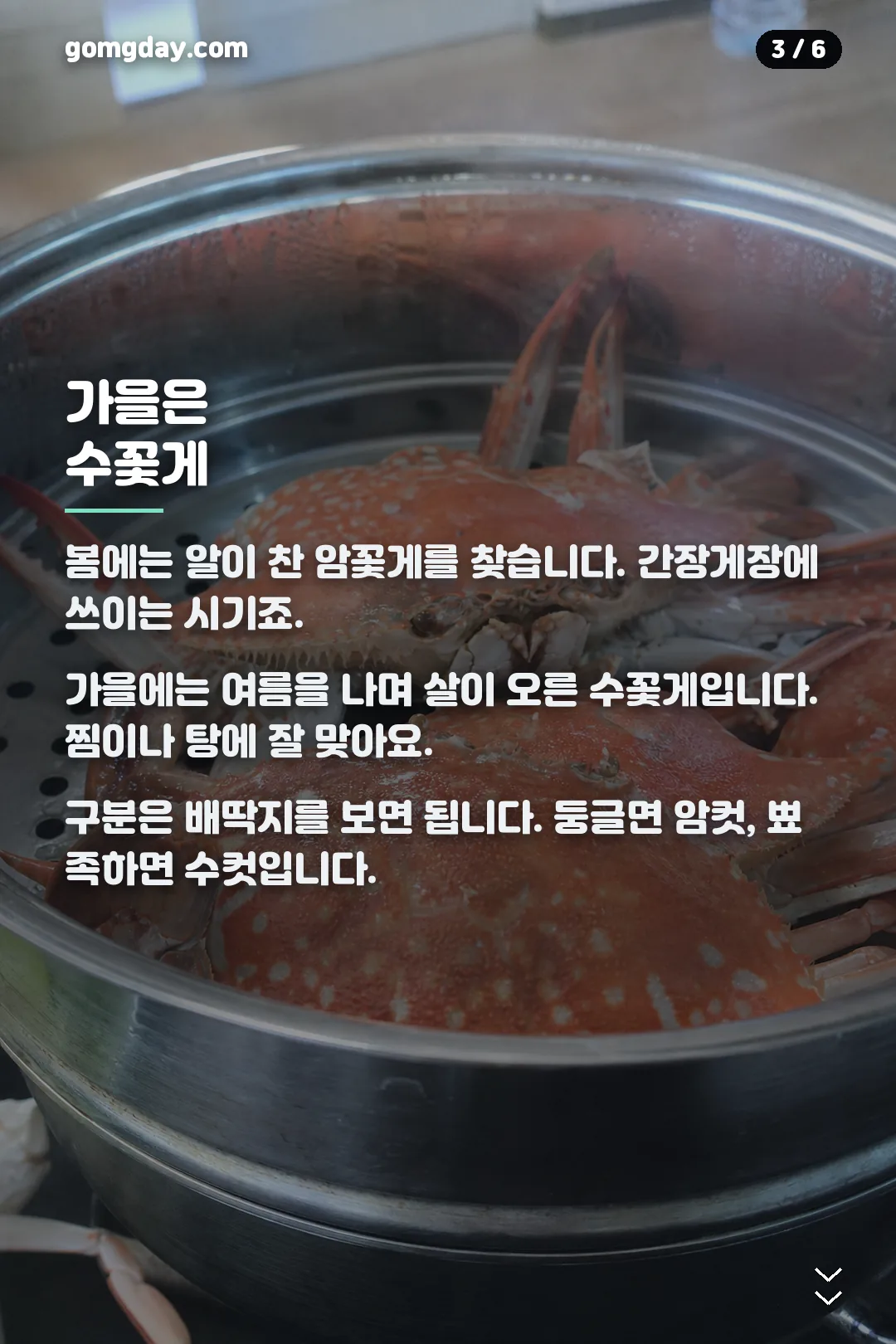트레이더스 톱밥꽃게 카드뉴스 3