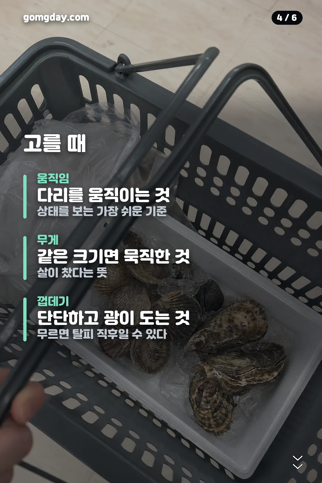 트레이더스 톱밥꽃게 카드뉴스 4
