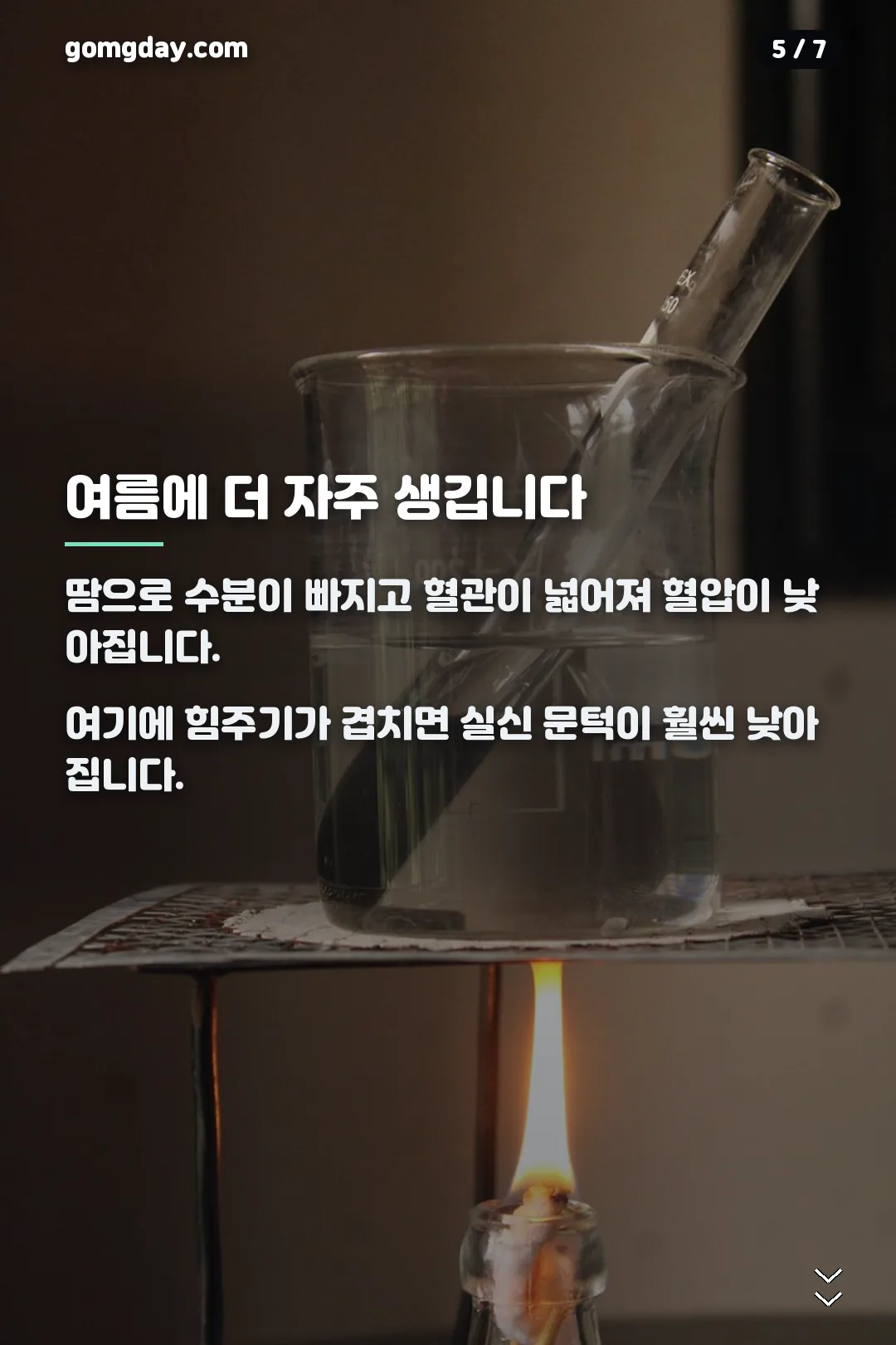 미주신경성 실신 안내 카드 5