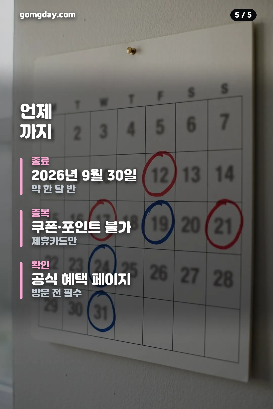 빕스 군인할인 정리 카드 5