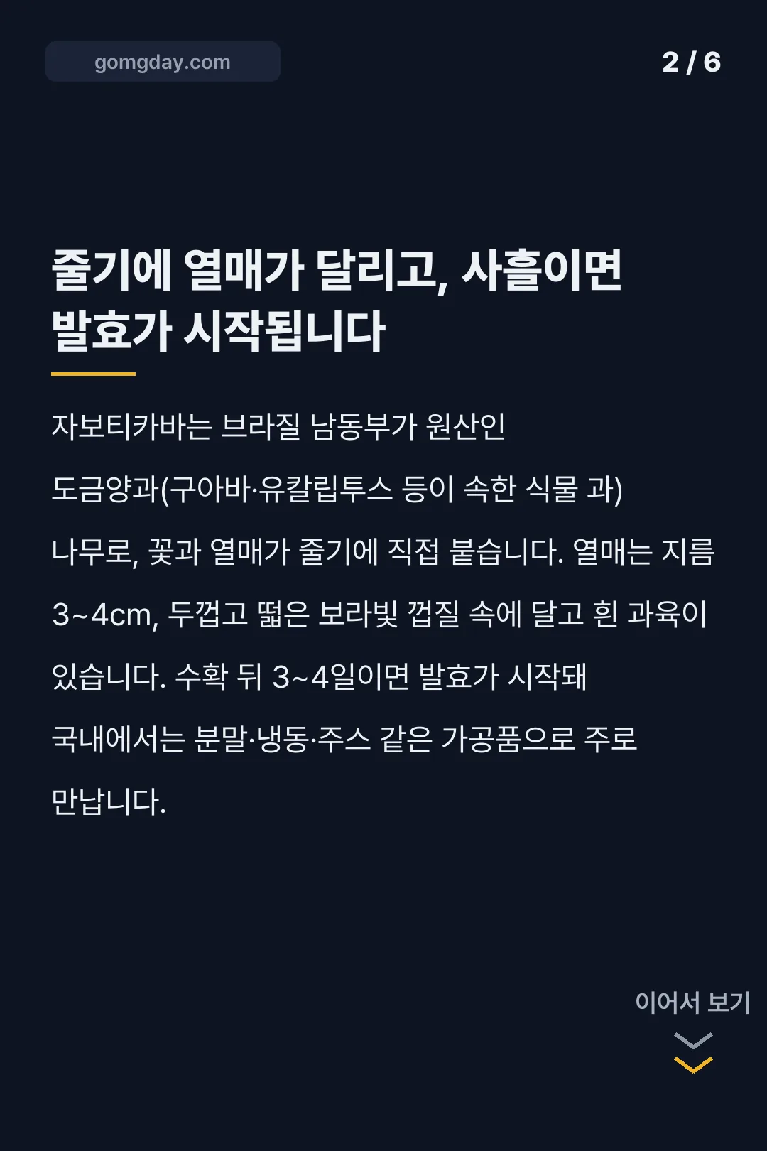 자보티카바 효능 카드뉴스 2