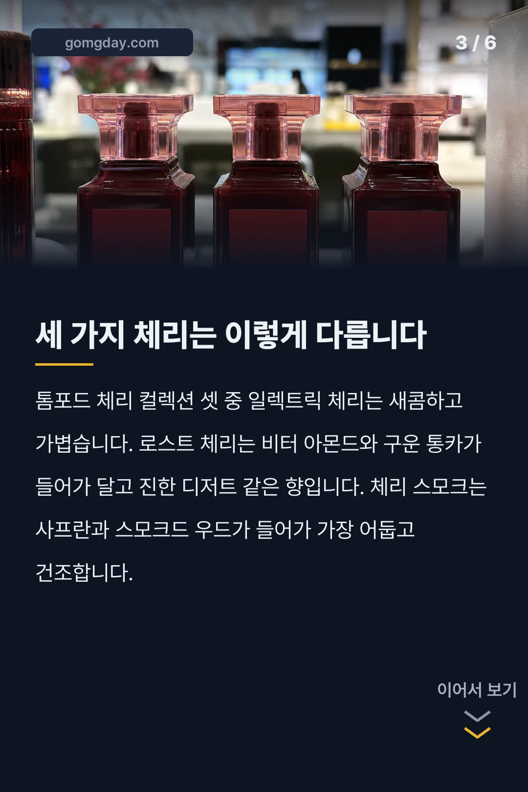 톰포드 일렉트릭체리 카드뉴스 3
