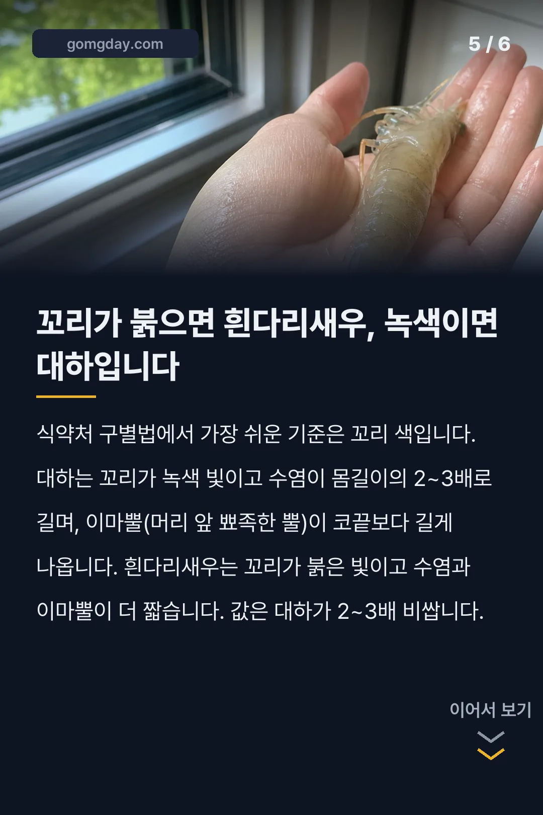 흰다리새우 시세 카드뉴스 5